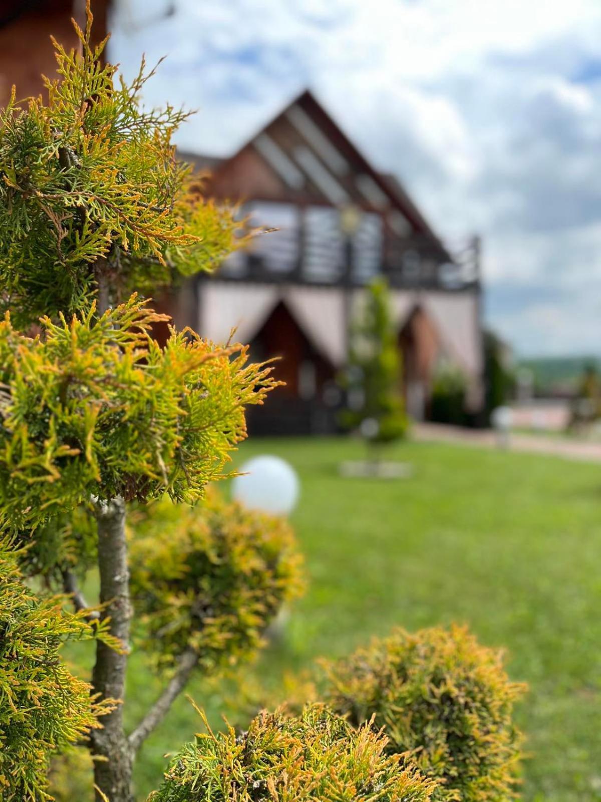 Hotel Four Seasons In Carpathians Mihove Exteriér fotografie